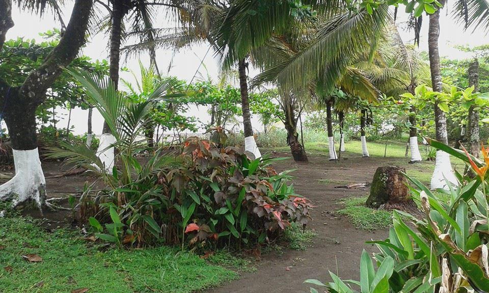 Cabinas Balcon Del Mar Tortuguero Bagian luar foto